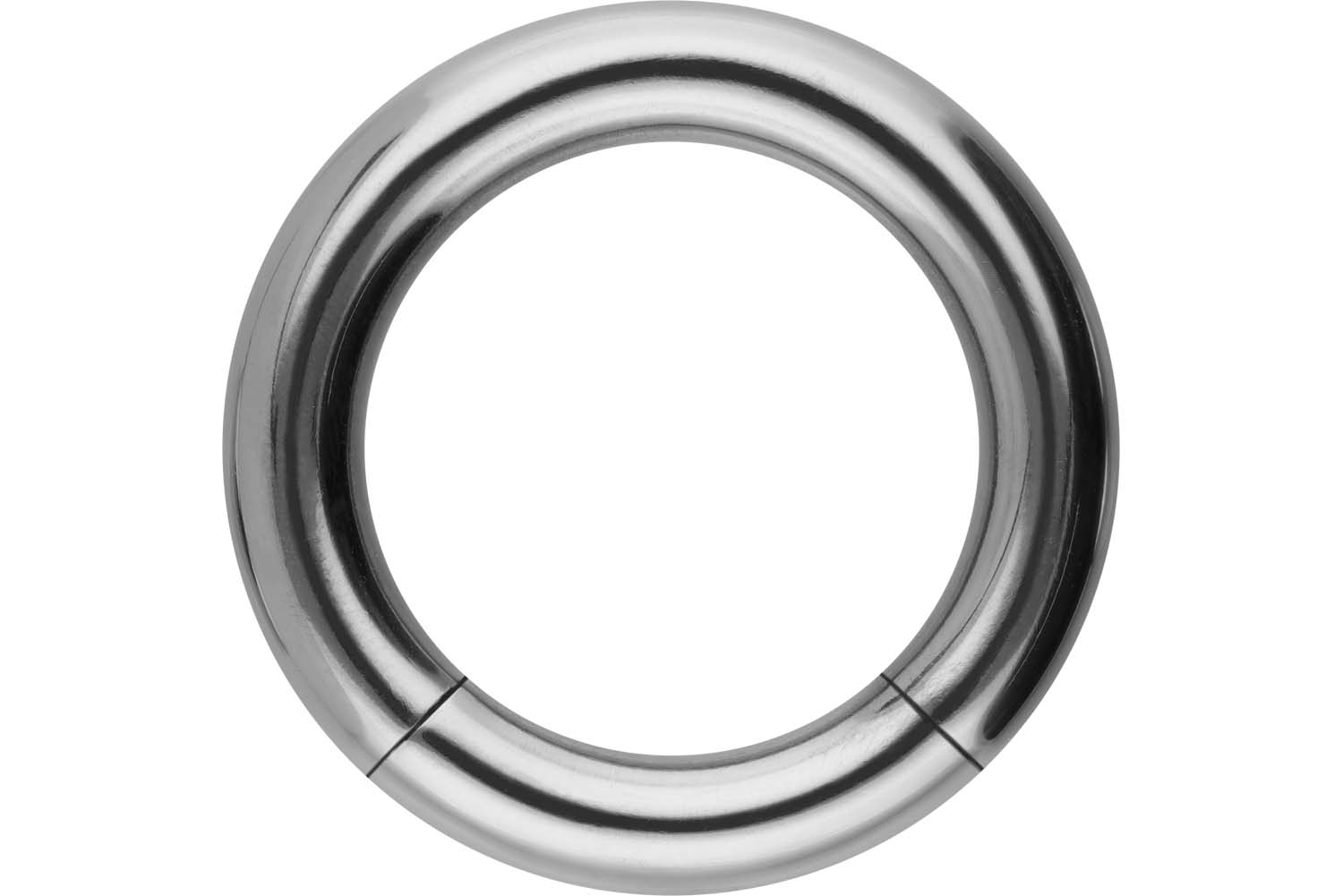 Titan Segmentring von Piercingline